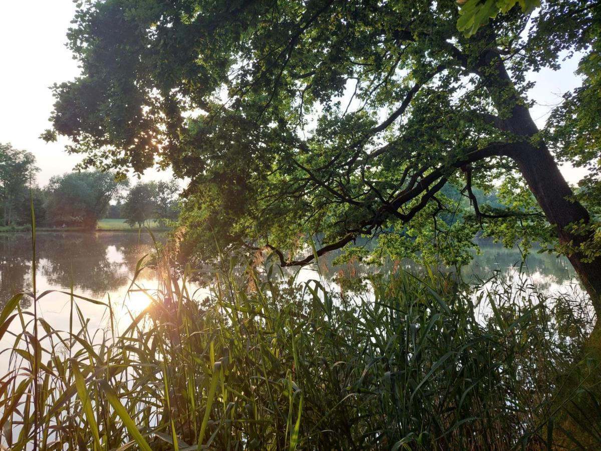 Ferienwohnung Am Buergerteich Bischofswerda Zewnętrze zdjęcie